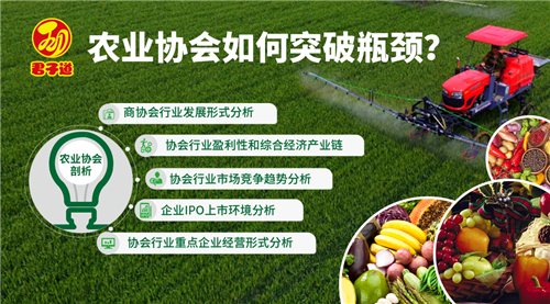 Դ̻ι滮