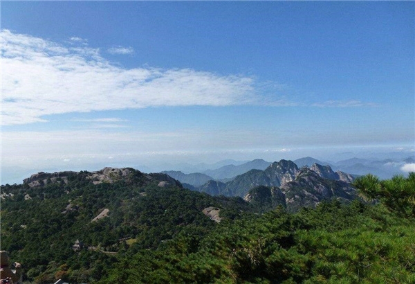 羰