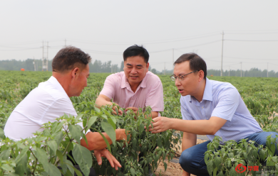 �μǳ�����ʹ������λ������פ���һ��ǣ����ˣ�