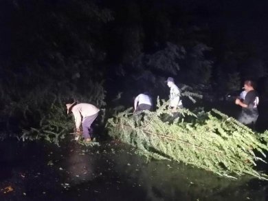 ɽ�������������ɳ�����ǿ����·��Ѳ�鼰ʱ������ȫ����