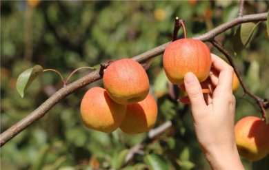 ũҵحˮũҺ6000Ф߳ɽս˫11