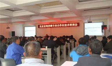 ũҵحרҵ翪չ2020似ѵ