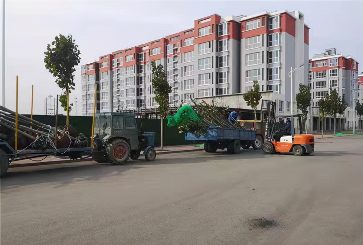 吴桥住建:清晨“吹哨”发预警,立时“接单”解民忧