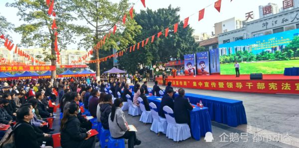 柳江区开展普法宣传,增强全民法治意识