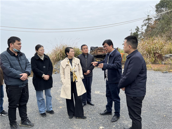 胡淑珠一行到马回岭镇调研指导矿山生态修复项目