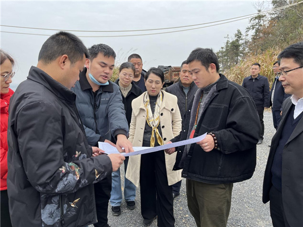 胡淑珠一行到马回岭镇调研指导矿山生态修复项目