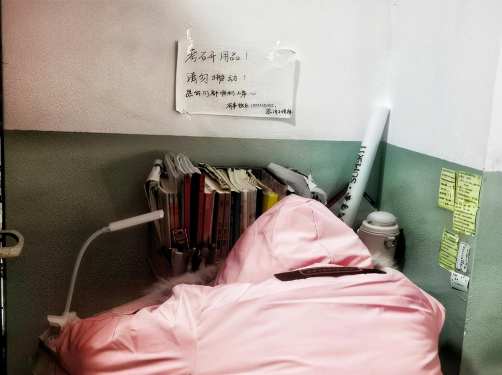 山东师范大学研考倒计时:星光不负,“研”途可期