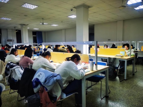 山东师范大学研考倒计时:星光不负,“研”途可期