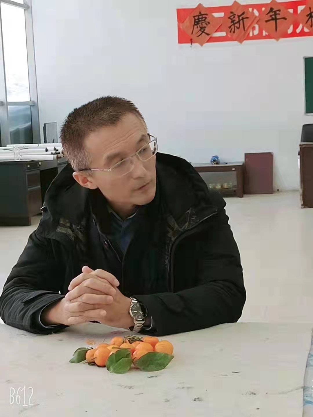 福虎惊春梦 书道暖人心