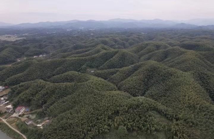 谭仲池赴桃江县兴坪村调研中茂文旅集团乡村振兴项目