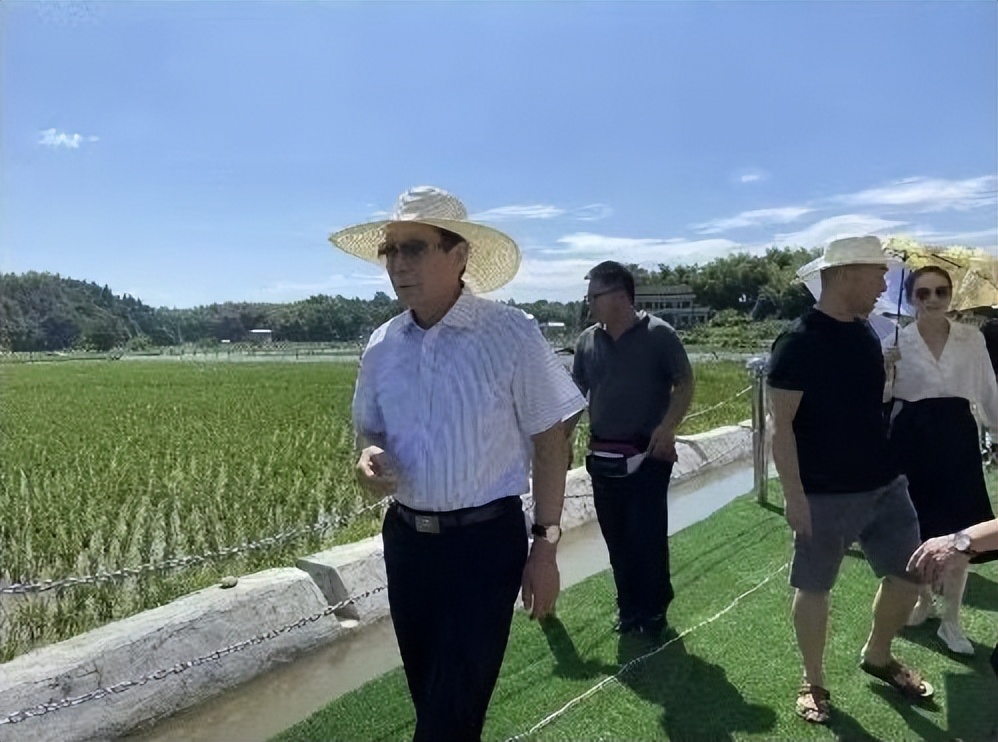 谭仲池赴桃江县兴坪村调研中茂文旅集团乡村振兴项目